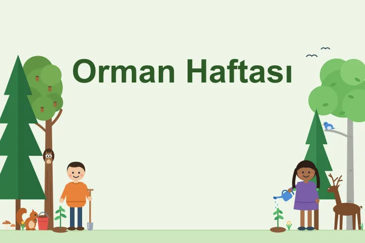 Solda koyu yeşil bir çam ile palamutlu bir meşe ve meşenin gövdesindeki kovuktan bakan baykuş; altta mantarlar, palamut tutan sincap, toprak dolu kırmızı kova ve yeni dikilmiş fidanın yanında küreğiyle duran çocuk; sağda gökyüzünde uçan iki kuş, dalında mavi bir kuş duran gümüşi gövdeli kayın, köknar, kahverengi bir geyik ve sulama kabıyla fidanı sulayan iki yandan saçları toplu kız.
